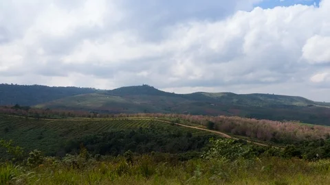 View of Clouds over Valley at Phu Lom Lo, Sakura Thailand Stock Footage 103347789