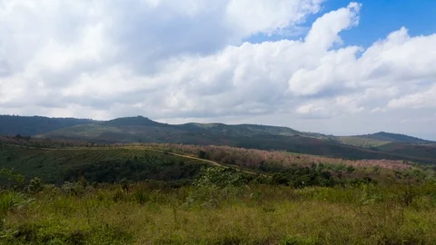 View of Clouds over Valley at Phu Lom Lo, Sakura Thailand Stock Footage 103347791