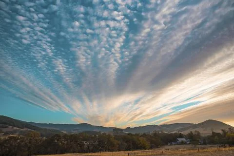 View of cloudscape and a forest Stock Photos
