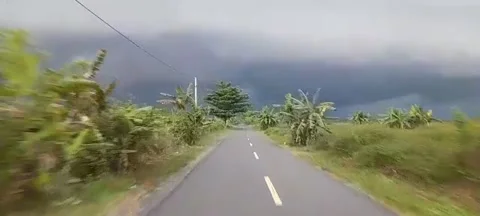 VIEW OF Cloudy Skies AND TREES Stock Footage 223145652