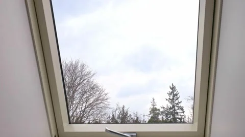 View of cloudy sky and bare tree branches through modern skylight window Stock Footage 295430662