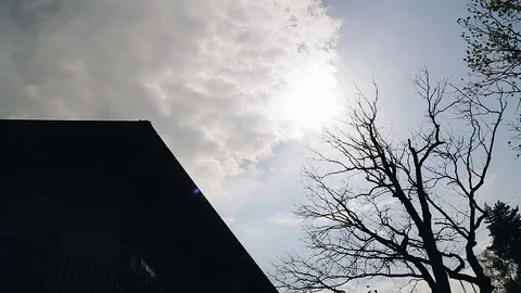 View of the cloudy sky from the bottom up Stock Footage 115214795