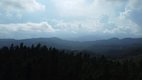 View cloudy sky over the forest with moving clouds Stock Footage 160855209