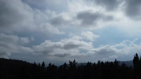 View cloudy sky over the forest with moving clouds Stock Footage 160856421