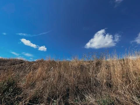 View of the cloudy sky Stock Photos