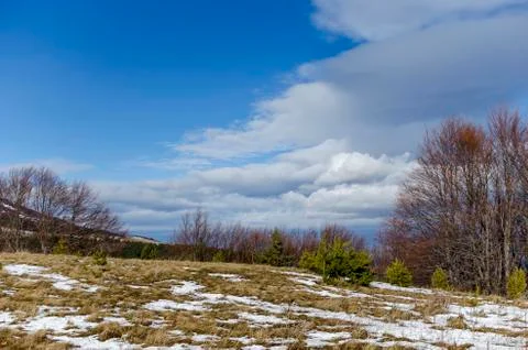 View of cloudy sky, winter mountain  and forest Stock Photos