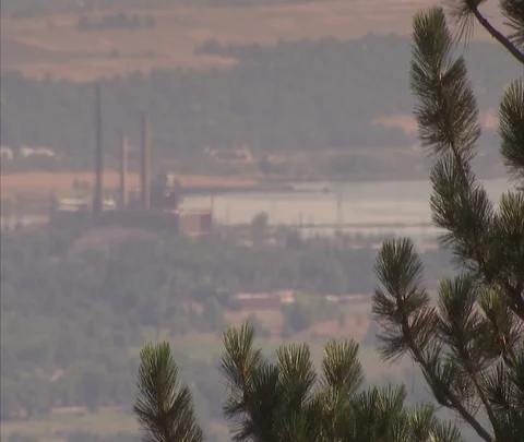 View of coal power plant through branches and haze Stock Footage 86691093