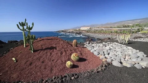 View of coast and Atlantic ocean in Tenerife, Canary Islands, Spain Stock Footage 71977011