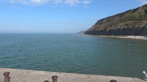 View on the coast with cliffs and blue sky Video stock 76911974