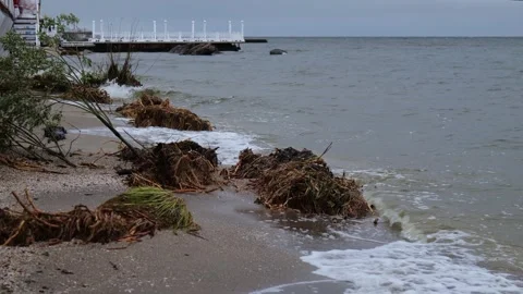 View of the coast consequences of environmental disaster Stockbeeldmateriaal 244722806