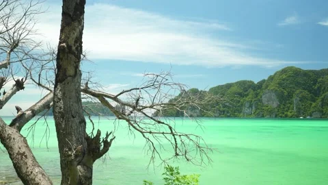 View of the coast of the island of Phi Phi island, Southern of Thailand Stock Footage 153505930
