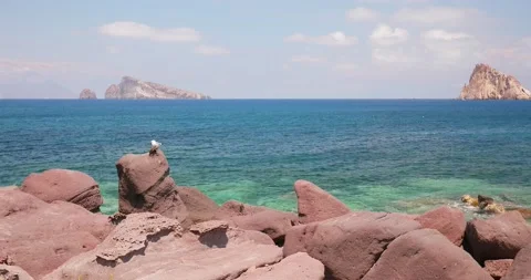 View from the coast of Panarea of the islets Basiluzzo and Dattilo. A seagull 動画素材 165552280
