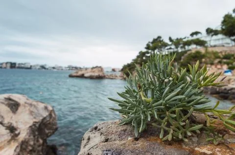 View of the coast Stock Photos
