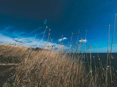 View of the coast Stock Photos