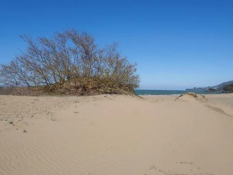 The view of the coast Stock Photos