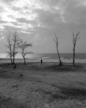 The view of the coast Stock Photos