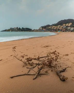 The view of the coast Stock Photos