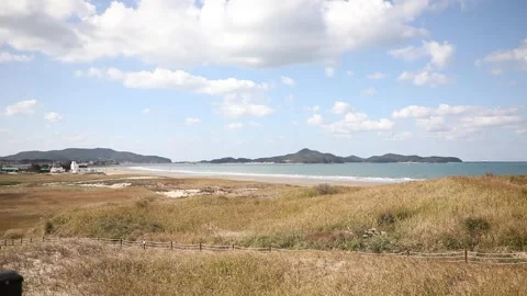View of the coast of the river Stock Footage 310919813