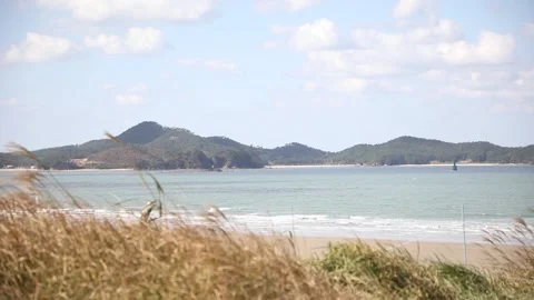 View of the coast of the river 스톡 동영상 310919815