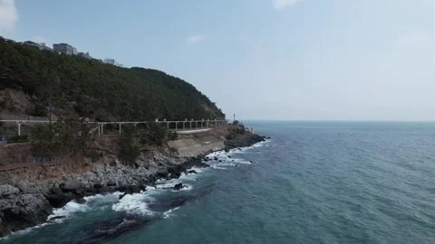 View of the coast of the sea Vídeo Stock 305819460