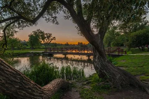 View from the coast with trees on a bridge over a river in a city park Stock Photos