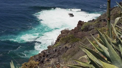 View of the coast of volcanic origin, the ocean and the waves of Tenerife Stock Footage 115763910