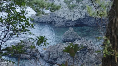 VIEW OF COASTAL OCEAN WAVES WITH ROCKS AND TREES Stock Footage 127423037