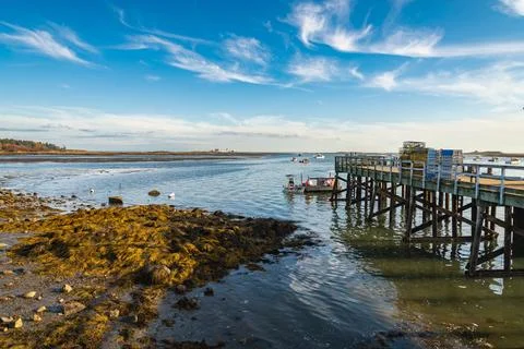 The view of the coastline during the fall in Cape Porpoise, Maine Stock Photos
