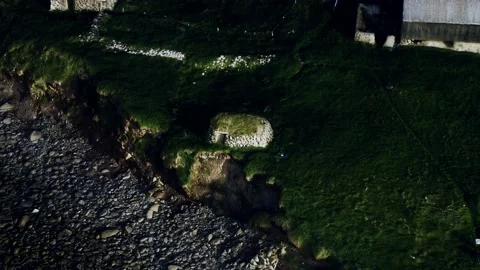 View on a coastline on Faroe Islands at sunset Stock Footage 133849458