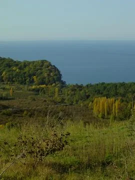 The view of coastline Stock Photos