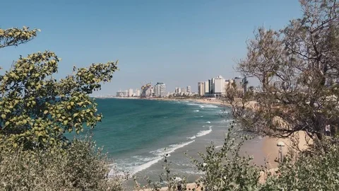 View of the coastline of Tel Aviv Stock-Footage 82589531
