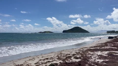 View on the Coconut Bay Beach in St Lucia island Stock Footage 327629508