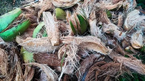 View of coconut coir Foto stock