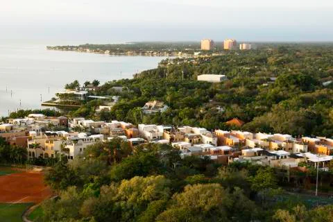 View of Coconut Grove 库存照片