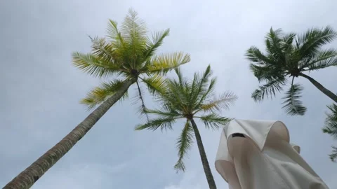 View of coconut palm trees against sky near beach on the tropical island. Coc Stock Footage 201450073