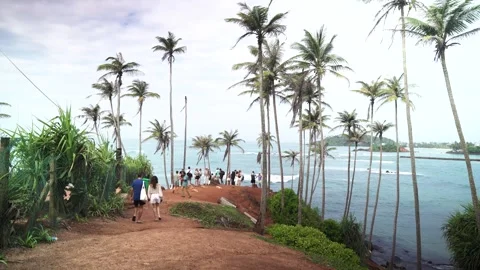 View of Coconut Tree Hill and palm trees, Sri Lanka. Stock Footage 335582994