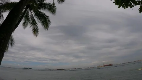 View from coconut tree to sea Stock Footage 155887756