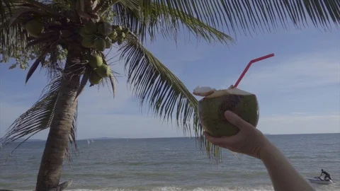 View of coconut tree, tourist drinking coconut water with straw Stock Footage 122831175