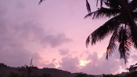 The view of coconut trees with the sunset sky looking pinkish purple. Stock Footage 327974882