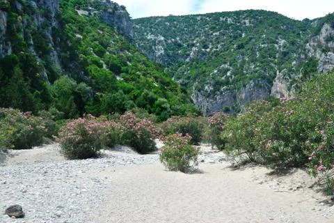 View of Codula of Luna Stock-Fotos