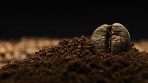 View Of Coffee Beans And Ground Coffee. Close-up. Vídeos de archivo 108797333