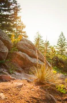 View of Colorado Stock Photos