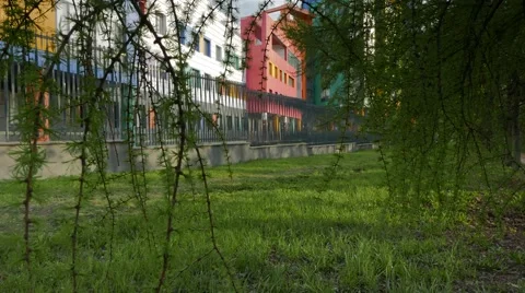 View at Colored Building Through a Green Tree Branches Stock Footage 64060546