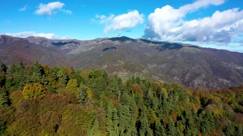 View of colorful deciduous trees and snow-capped mountains Vidéo 310673707