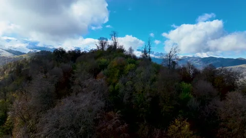 View of colorful deciduous trees and snow-capped mountains Stock Footage 310673761