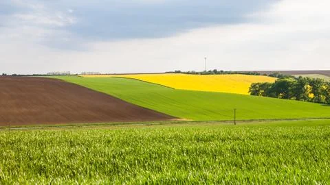 View of colorful fields Stock Photos