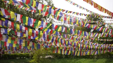 View of colorful prayer flags hanging in Lumbini, Nepal. Stock-Footage 335469320