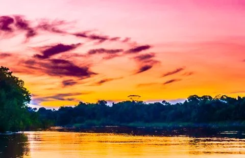 View on Colourful amazon sunset with river and forest. Brazil Stock Photos