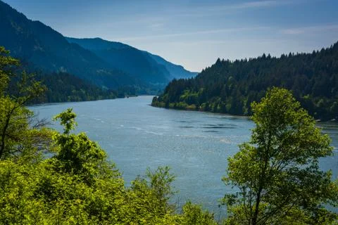View of the Columbia River, in Cascade Locks, Oregon. Foto stock