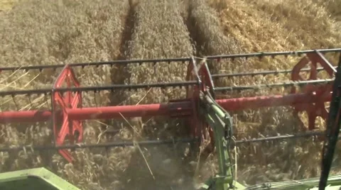 View of the combine header working Stock-Footage 54611285